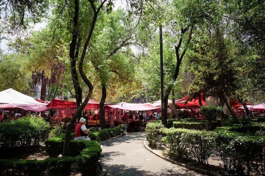 Weekly outdoor markets, called tianguis, can be found throughout Colonia Roma along its major avenues and inside parks