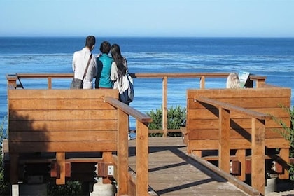 Scenic Path Carmel-by-the-Sea: A Self-Guided Audio Tour