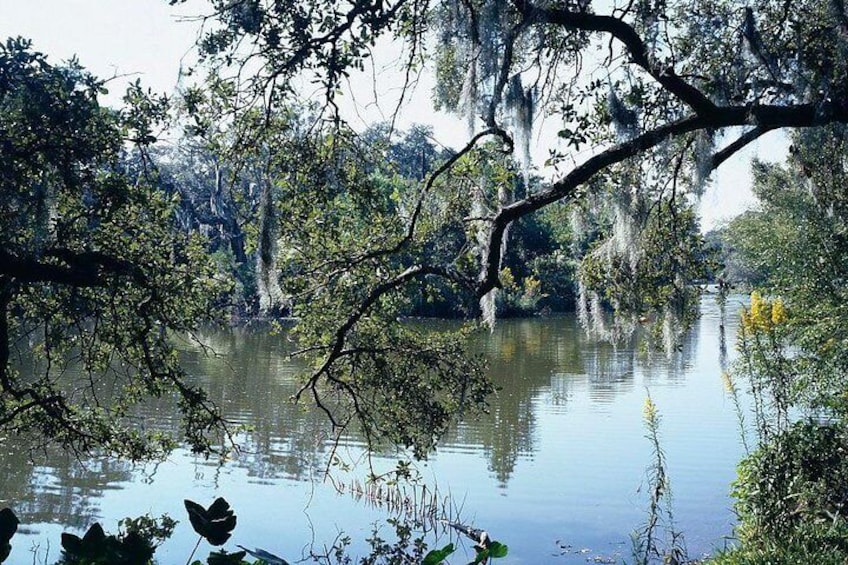 City Park New Orleans