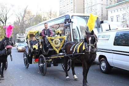 Central Park Private Horse Carriage Tour in NYC