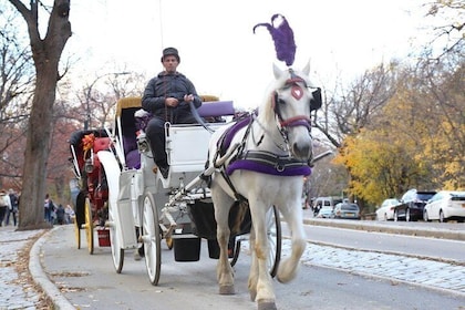 Horse Carriage Tour in New York City's Central Park Small Loop