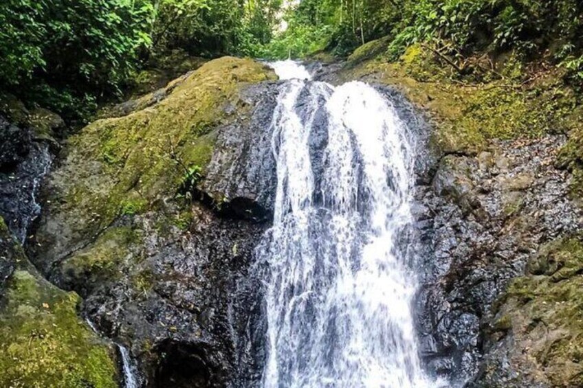 Rainforest Magic Horseback Riding Waterfall Tour Private Park Setting
