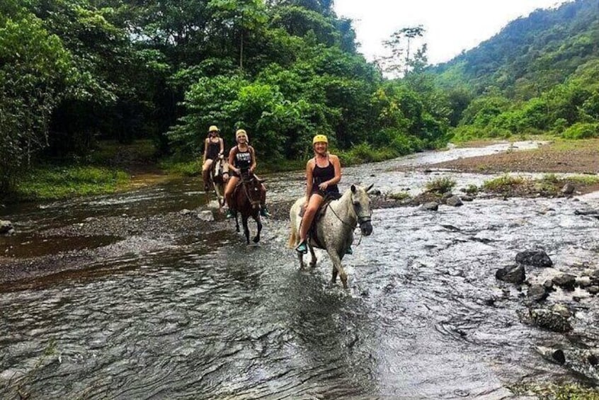 Rainforest Magic Horseback Riding Waterfall Tour Private Park Setting