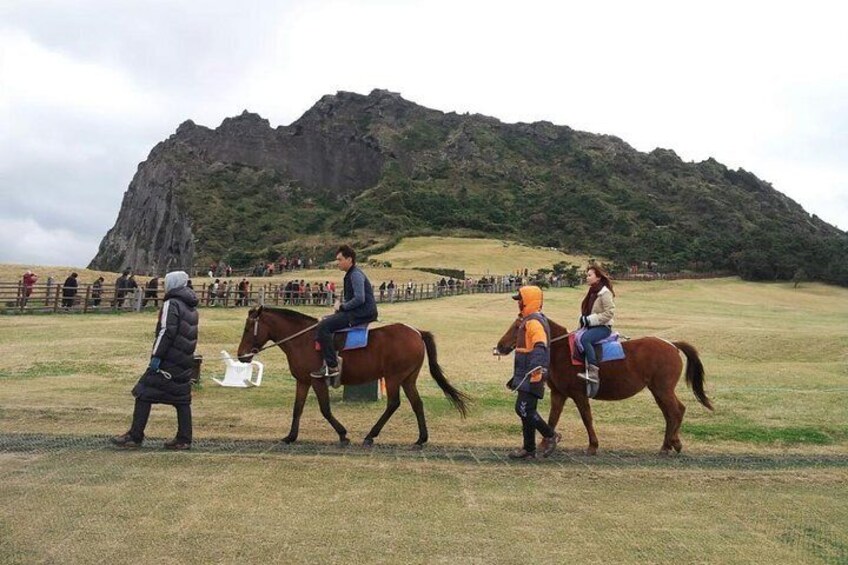 Jeju Island Private Taxi Tour : 2 Full days