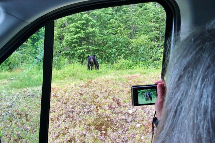 Enjoy the possibility of spotting bears and other wildlife!