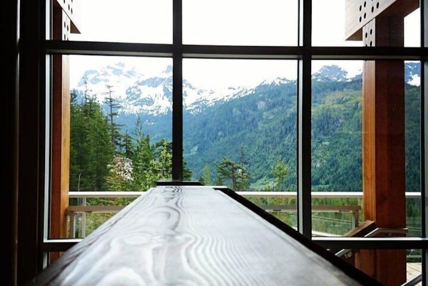 Guided Sightseeing Tour in Vancouver, Shannon Falls and Whistler