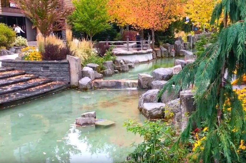 Whistler Village pond