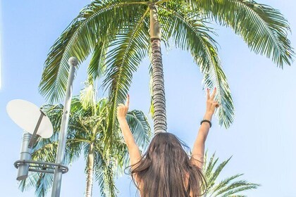 LA Tour: City centre, Hollywood, Rodeo Drive, Farmer's Market