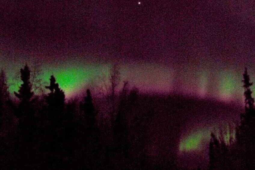 Chena Hot Springs Aurora Tour