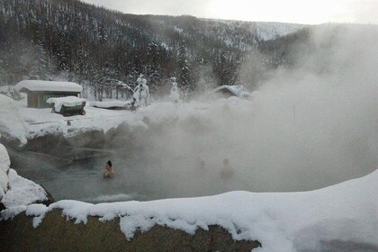 Chena Hot Springs Aurora Tour