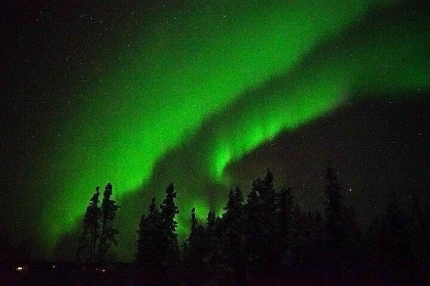 The winter-cloaked scenes of auroras will thrill your heart!