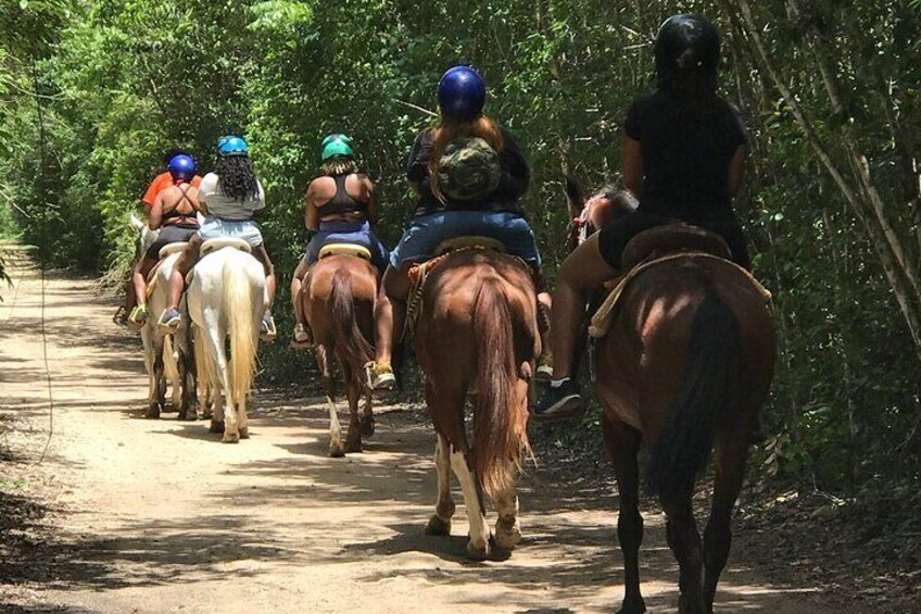 HORSEBACK RIDING | CANCUN | ATV | CENOTE | RIVIERA MAYA | MEXICO | TRIP |