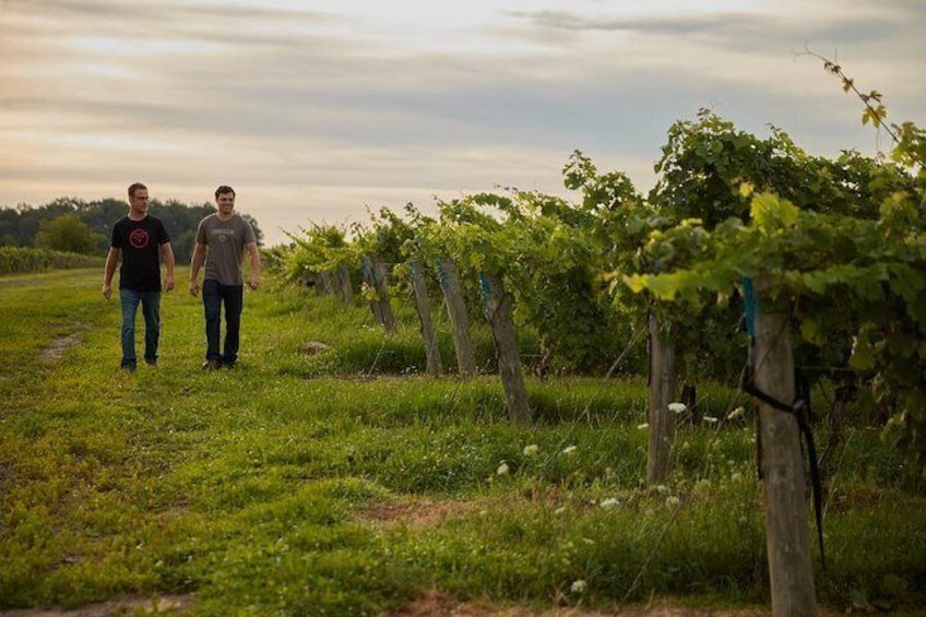 Craft Wine and Cheese at Between The Lines