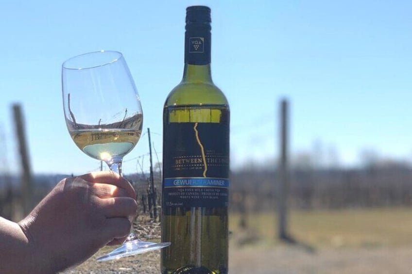 Niagara's Decadent Icewine and Chocolate Tasting