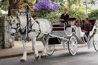 HORSE CARRIAGE ROMANTIC VIP RIDE in CENTRAL PARK