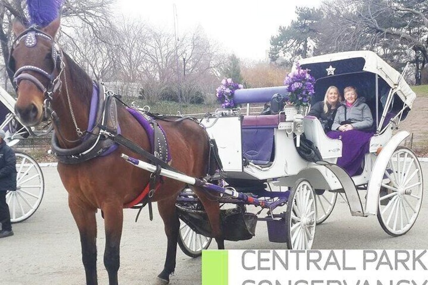 CARRIAGE RIDE OFFICIAL (VIP PRIVATE) in CENTRAL PARK since 1971™