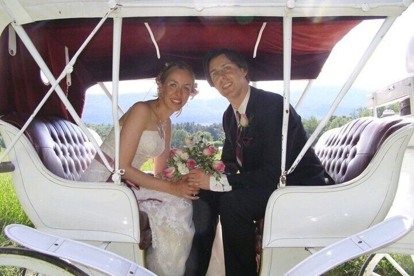 CARRIAGE RIDE OFFICIAL (VIP PRIVATE) in CENTRAL PARK since 1971™