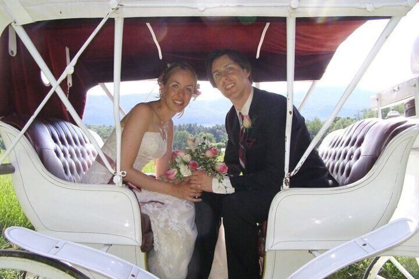 CARRIAGE RIDE OFFICIAL (VIP PRIVATE) in CENTRAL PARK since 1971™