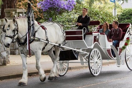 CARRIAGE RIDE OFFICIAL (VIP PRIVATE) in CENTRAL PARK since 1971™