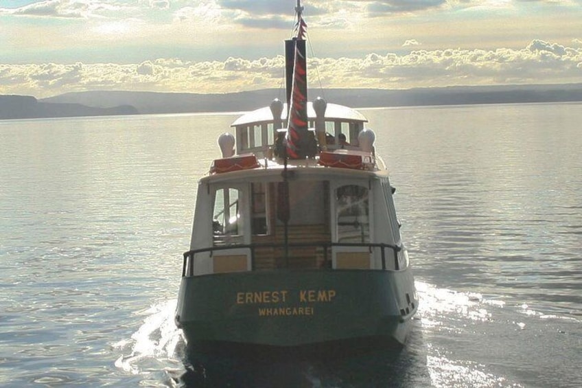 Maori Rock Carvings Scenic Cruise