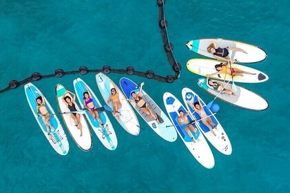 Morning paddleboard group session Caribbean Sea. Foto's included!