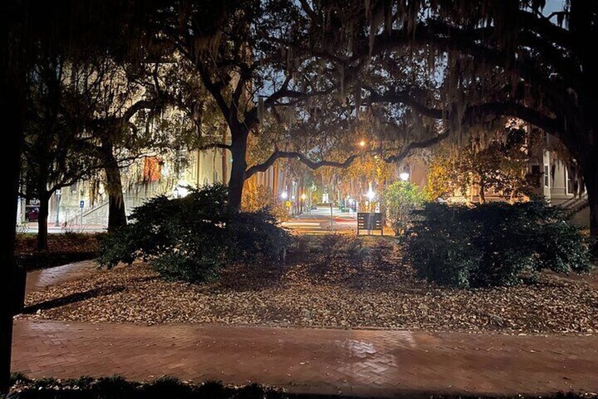 Savannah Night Terrors Walking Tour