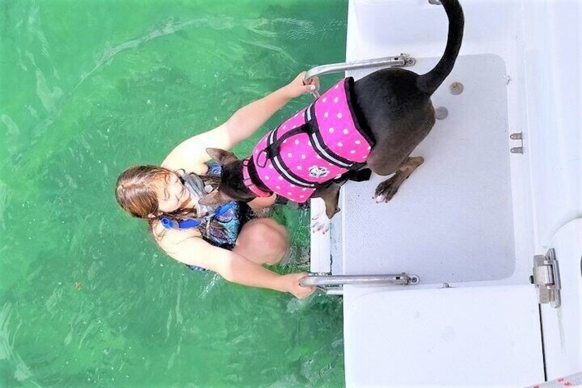 Dog Friendly Activity
