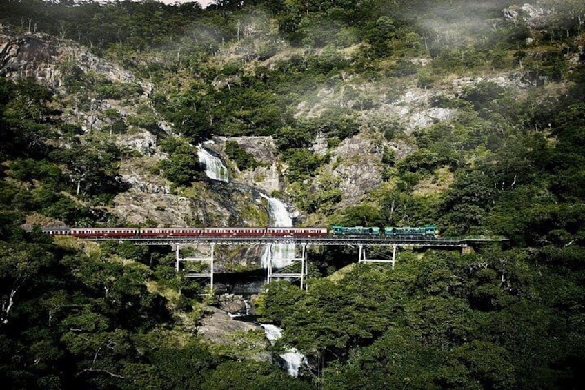 Port Douglas: Kuranda Day Tour with Skyrail Rainforest Cableway and Scenic train