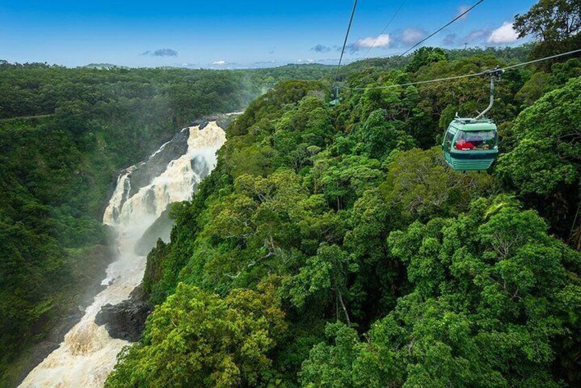 Port Douglas Day Tour: Including Kuranda, Skyrail & Scenic Train