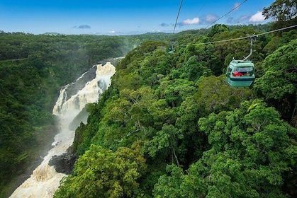 Port Douglas: Kuranda Day Tour with Skyrail Rainforest Cableway and Scenic ...