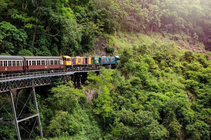 Port Douglas: Kuranda Day Tour with Skyrail Rainforest Cableway and Scenic train