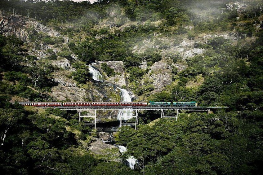 Small-Group Kuranda Village, Skyrail Cableway and Scenic Railway Day Trip from Port Douglas