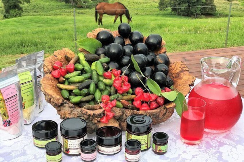Atherton Tablelands Small-Group Food & Wine Tasting Tour from Port Douglas