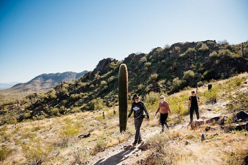 Private Solo Sonoran Desert Half Day Hiking Adventure