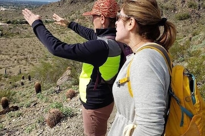 Sonoran Desert Hike for 1.5 Hours with Private Guide