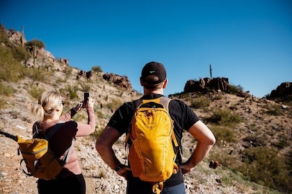 1.5 hr hike FAMILIES groups -Private, educational Sonoran Desert