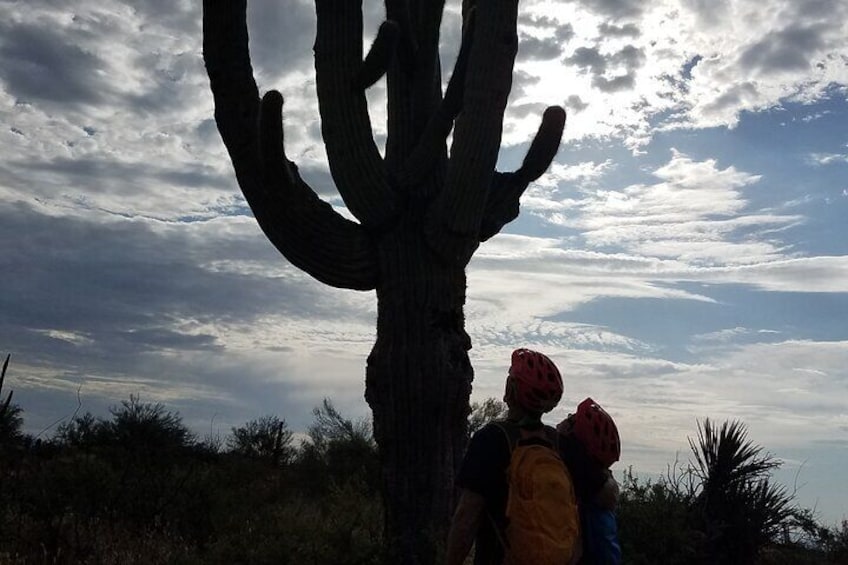 Private Sunset Sonoran Desert Mountain Bike Adventure