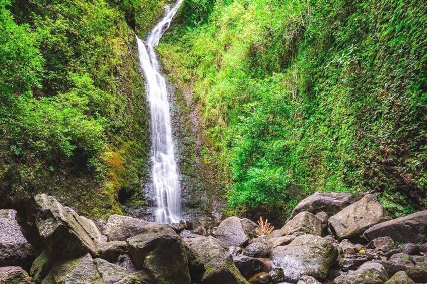Hike Trail to Waterfall & Nature Walk