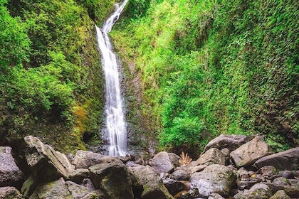 Wanderweg zum Wasserfall und Naturspaziergang