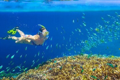 Private 3-Hour Snorkeling Tour on Glass Bottom Boat
