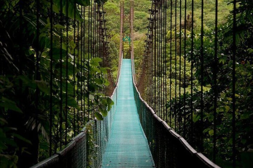 Mistico Arenal Hanging Bridges