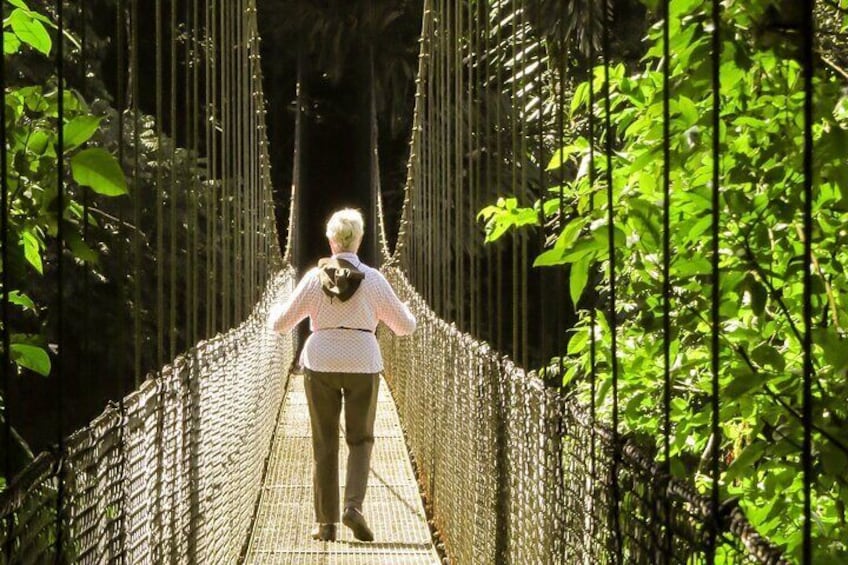 Mistico Arenal Hanging Bridges