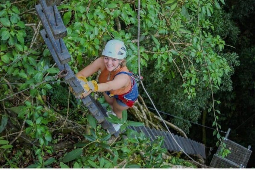 Combo Original Canopy (Tarzan Swing - Hanging bridges - Rappel & Climb tree