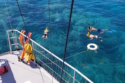 Aventura de navegación y snorkel en el arrecife de Key West