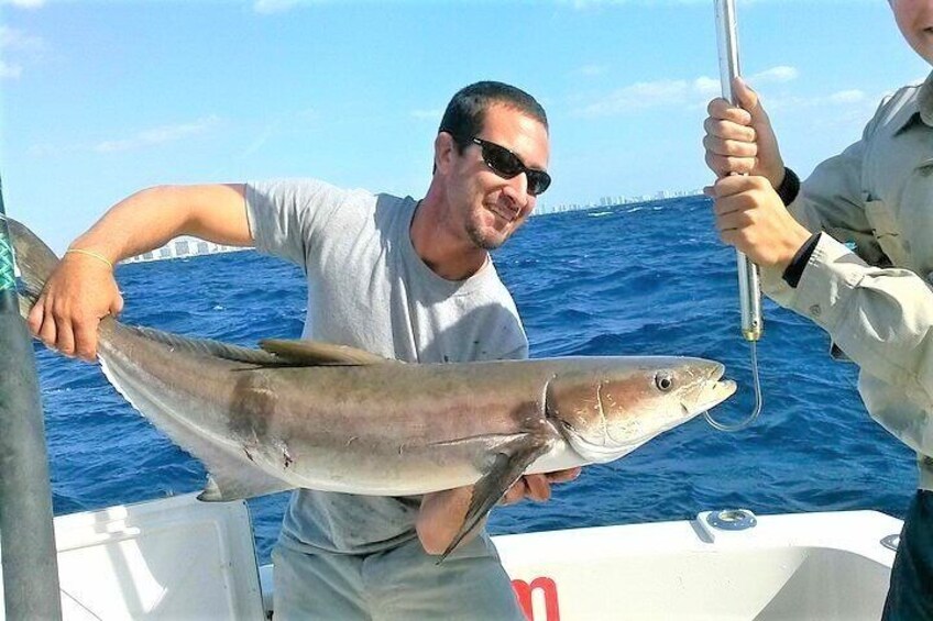 Nice cobia caught on Captain Pete's charter