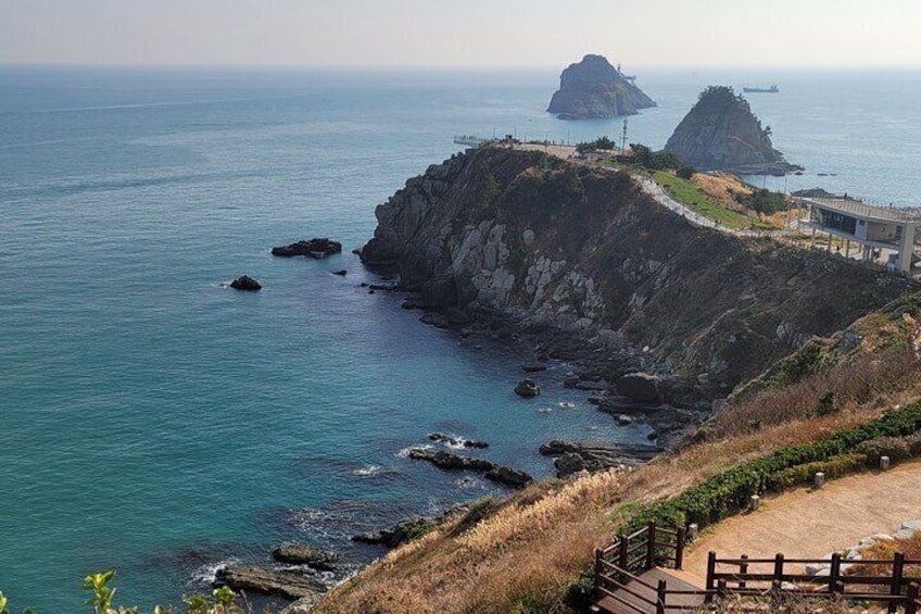 Enjoy seafood after walking along the coast from Igidae Park to Oryukdo Park.