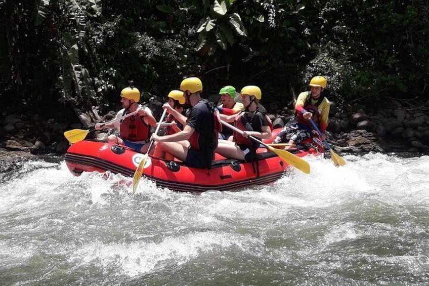 Best Whitewater Rafting Sarapiqui River, Costa Rica, Class II-III