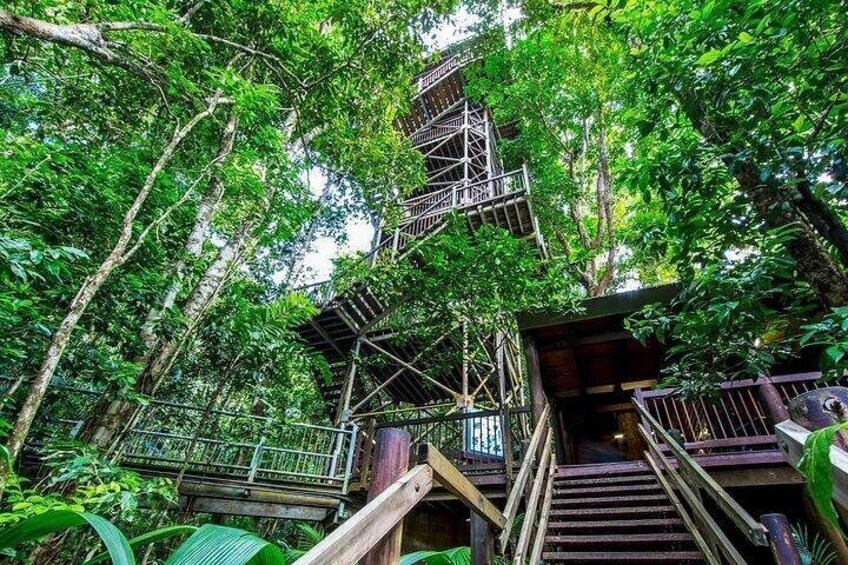 Daintree Discovery Centre Family Pass Ticket