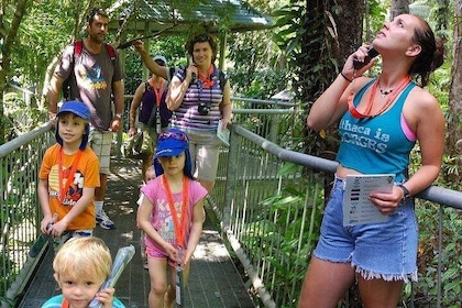 Daintree Discovery Centre Family Pass Ticket