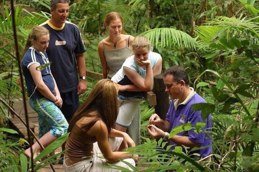 Daintree Discovery Centre Family Pass Ticket